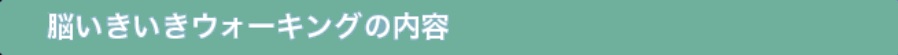 脳いきいきウォーキング内容