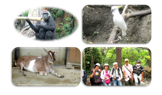 上野動物園