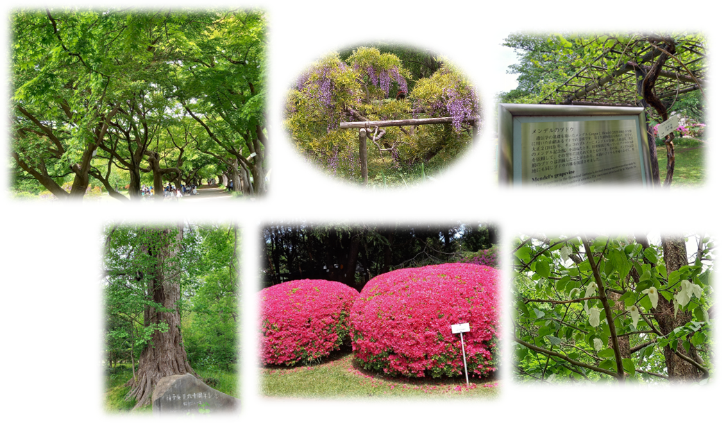 文京区②の４