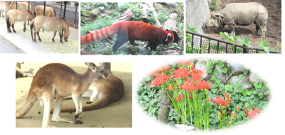 24年多摩動物園