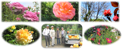 24年10月バラ園