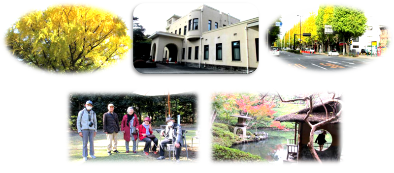 ２４年11月庭園美術館
