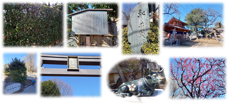 新井薬師