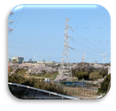 歩こう会B25年桜④