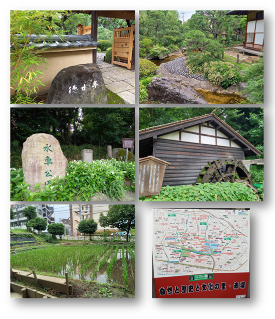 板橋①