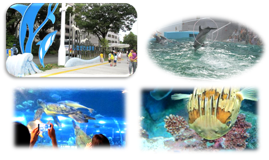 25年9月品川水族館