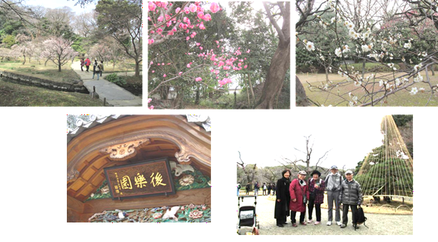 26年2月後楽園②