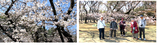 26年代々木公園